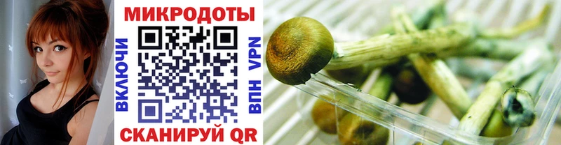 Галлюциногенные грибы прущие грибы Ишимбай